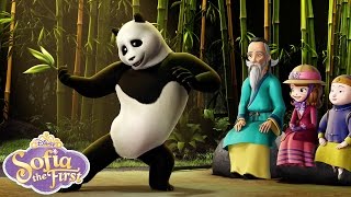 This Panda Just Wants to Dance  Music Video  Sofia the First  disneyjr [upl. by Valenza]