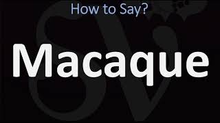 How to Pronounce Macaque CORRECTLY [upl. by Paugh]