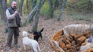 Come CERCARE TARTUFI nelle Crete Senesi  TARTUFO BIANCO [upl. by Sarad]