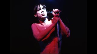 Iggy Pop  Lust for Life  Passenger  Live 1977 at the Manchester Apollo 1080 [upl. by Naraa]