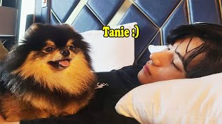 BTS with YEONTAN Dont fall in love with YEONTAN Challenge [upl. by Hinch981]