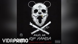 Anuel AA  RIP Panda Official Audio [upl. by Hurley771]