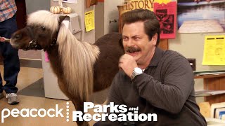 Ron Loves Lil Sebastian  Parks and Recreation [upl. by Ecinaej]