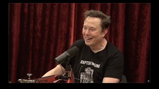 Joe Rogan Experience 2281  Elon Musk [upl. by Bolten]