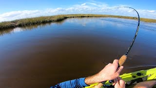 Adventuring Deep Up The Creek for Jacksonville Redfish [upl. by Novanod406]