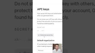 How to get OPEN AI API KEY [upl. by Harutak]