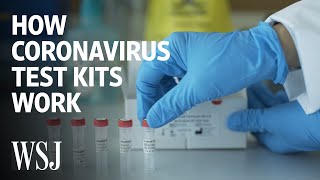 How Coronavirus Test Kits Work  WSJ [upl. by Nevek178]