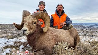 Epic Montana Bighorn Sheep Hunting Boone and Crockett Ram 2020 [upl. by Jordon]