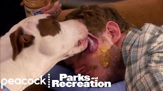 April Wakes Up Andy  Parks and Recreation [upl. by Tnaryb448]