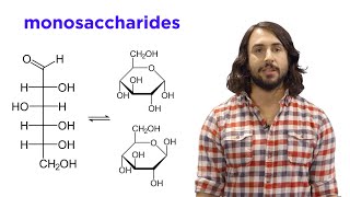 Carbohydrates Part 1 Simple Sugars and Fischer Projections [upl. by Nahsez]