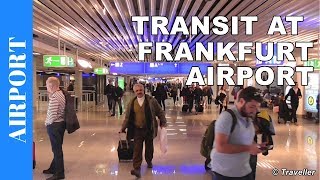 TRANSIT WALK AT FRANKFURT Airport FRA Terminal 1  Connection Flight Transfer Arriving amp Departing [upl. by Nannarb271]