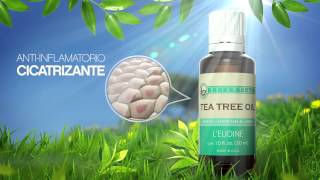 LEUDINE Tea Tree Oil CUENCA ECUADOR [upl. by Naesar]