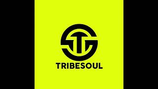 Tribesoul  Dipatje feat Nkulee501 amp Skroef28 [upl. by Aidyn399]